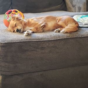 Meet your Posher, Taylor